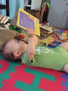 Early Reader